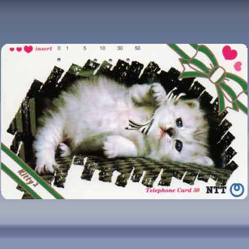 katten 4512